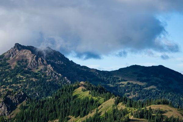 nature_2